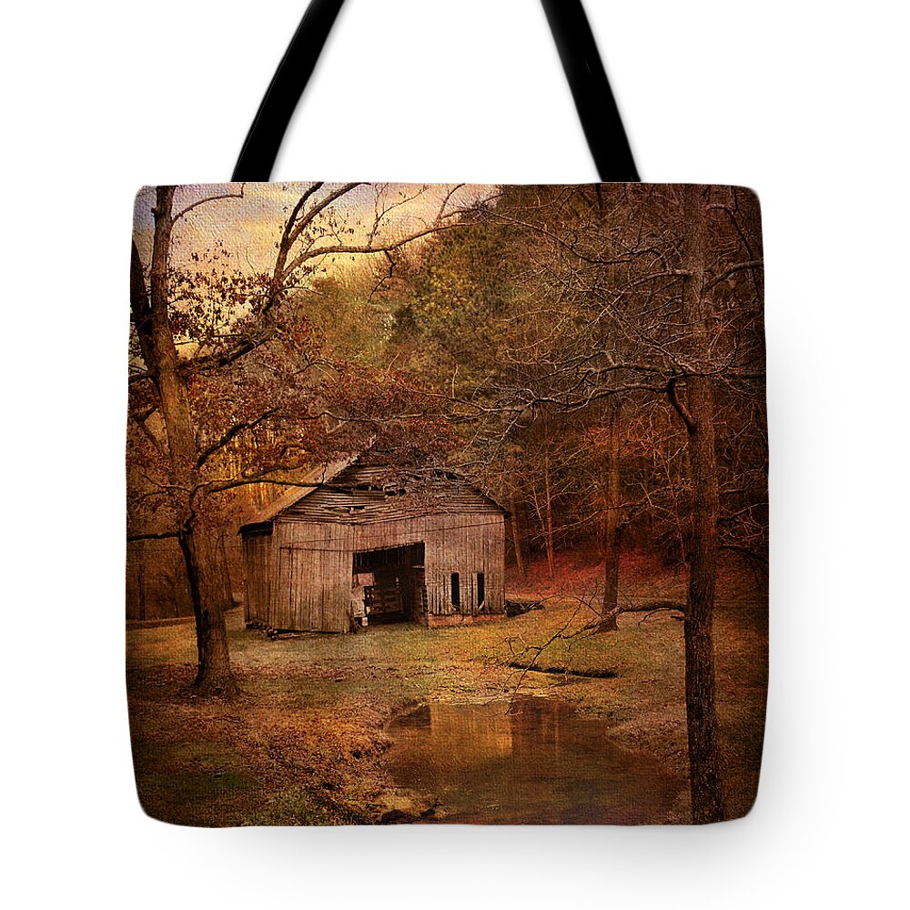 Abandoned Tote Bag featuring the photograph Abandoned Barn by Jai Johnson