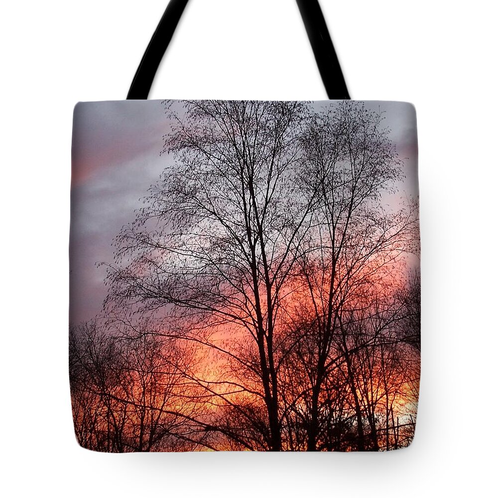 Sunset Tote Bag featuring the photograph Adding Life To What Has Passed by Kim Galluzzo Wozniak