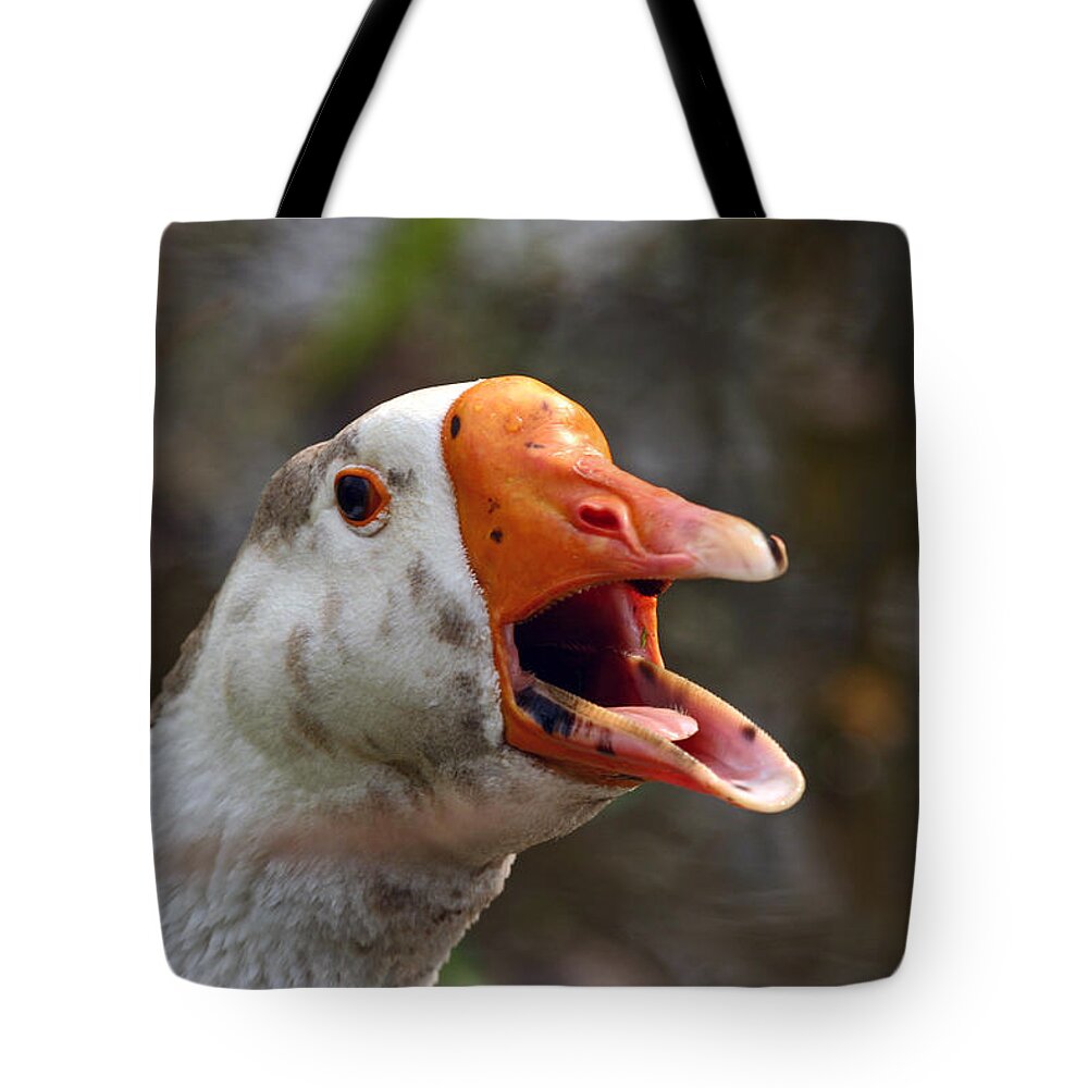 Goose Tote Bag featuring the photograph Aflac by Jeannette Hunt