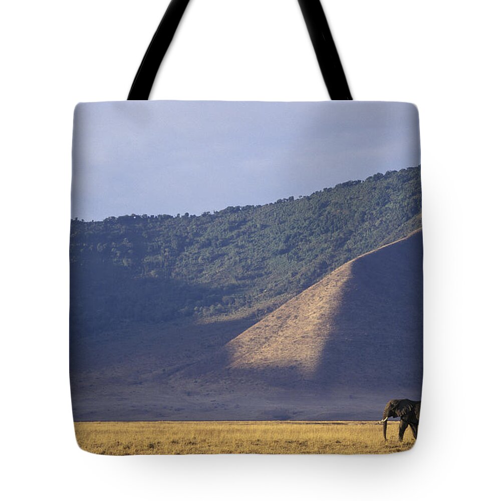 00761085 Tote Bag featuring the photograph African Elephant In Ngorongoro Crater by Suzi Eszterhas