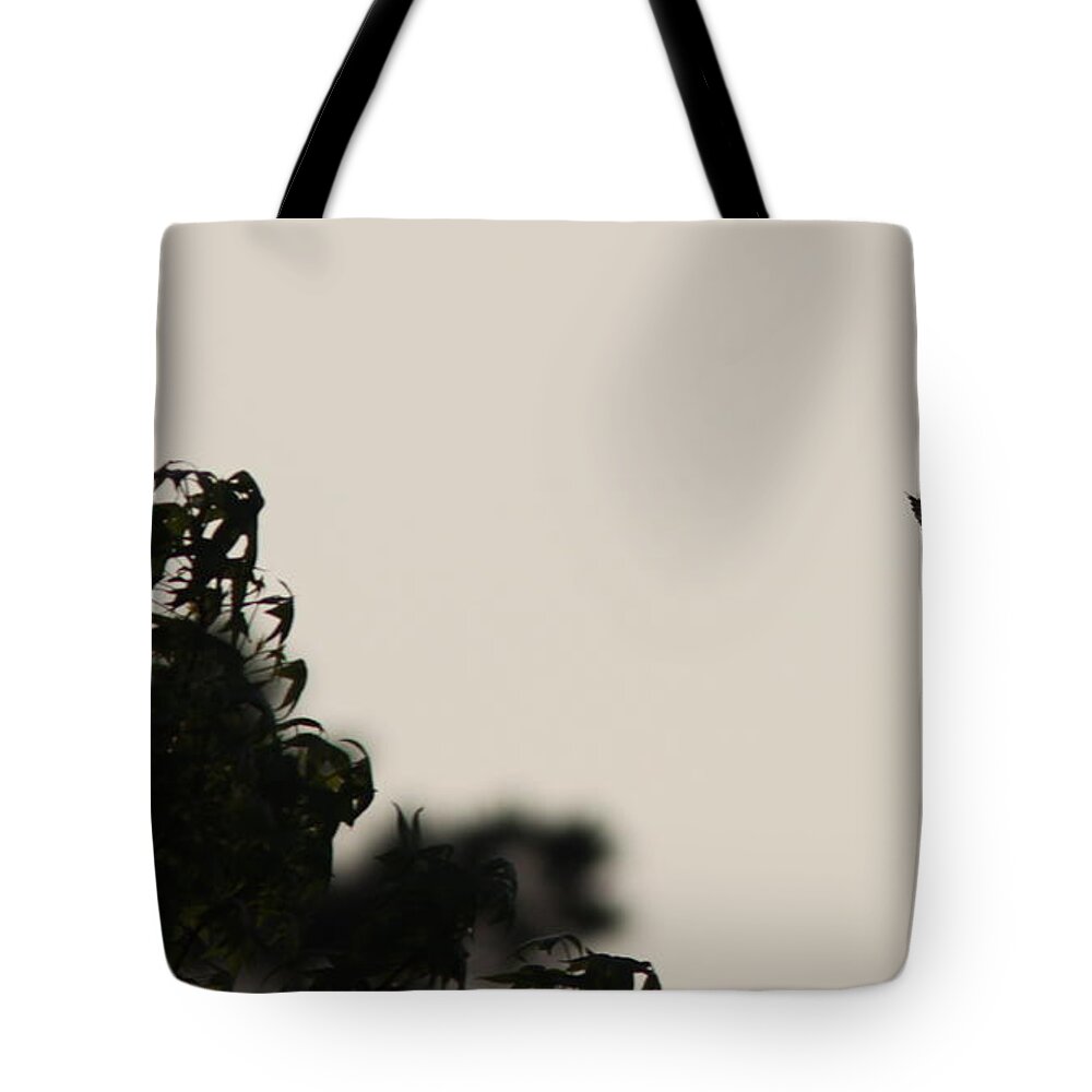 Eastern Bluebird Tote Bag featuring the photograph Afternoon Blue by Travis Truelove