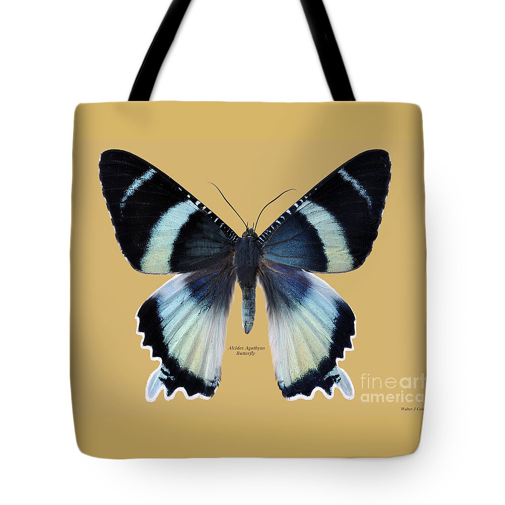 Alcides Agathyus Butterfly Tote Bag featuring the digital art Alcides Agathyus Butterfly by Walter Colvin
