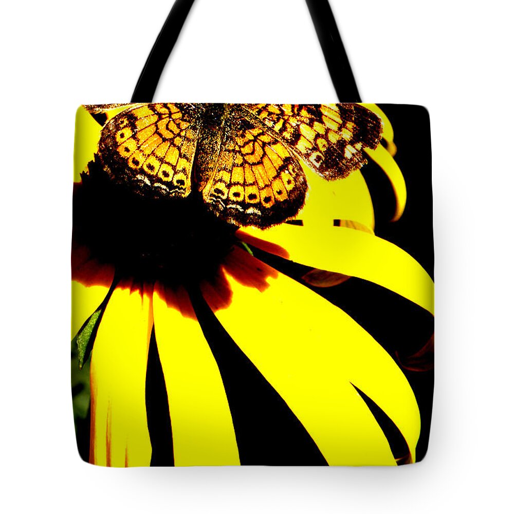 Butterfly Tote Bag featuring the photograph All To Myself by Kim Galluzzo