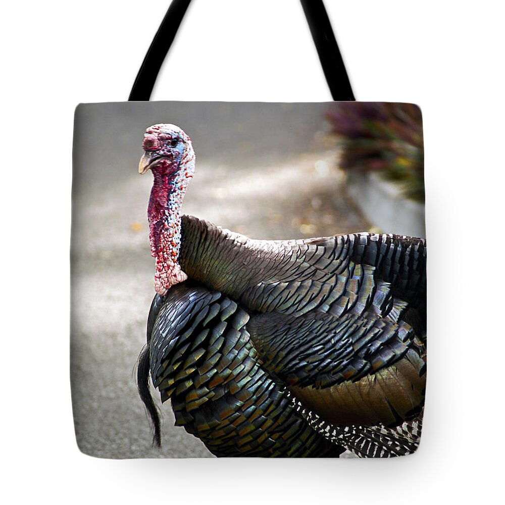 Fine Art Photography Tote Bag featuring the photograph Aloha Turkey III by Patricia Griffin Brett