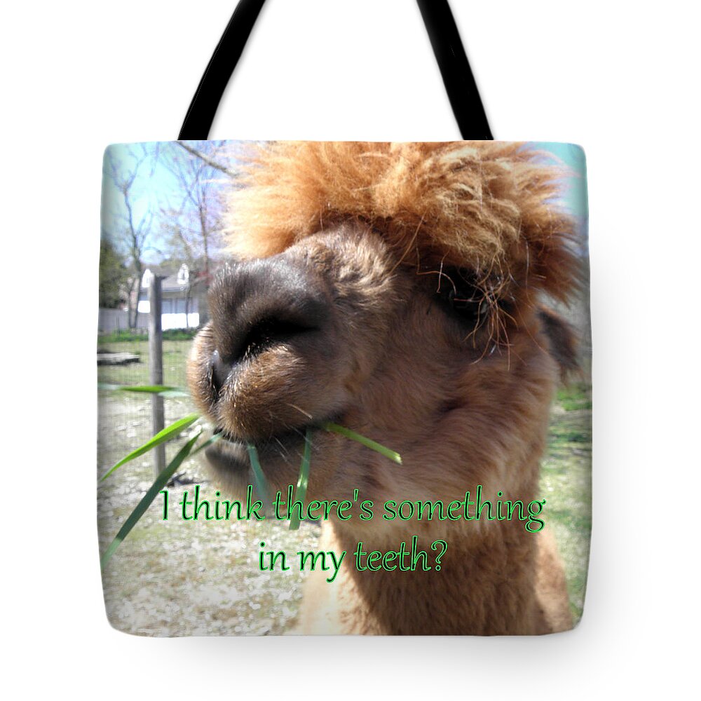 Alpaca Tote Bag featuring the photograph Alpaca being silly by Kim Galluzzo