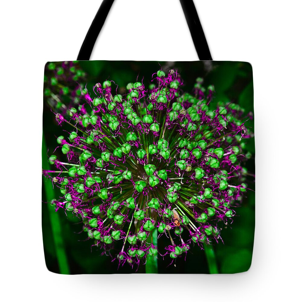 Closeup Tote Bag featuring the photograph Alpine bow by Michael Goyberg