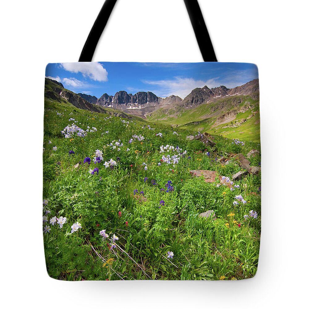 Colorado Tote Bag featuring the photograph American Basin Wildflowers by Steve Stuller