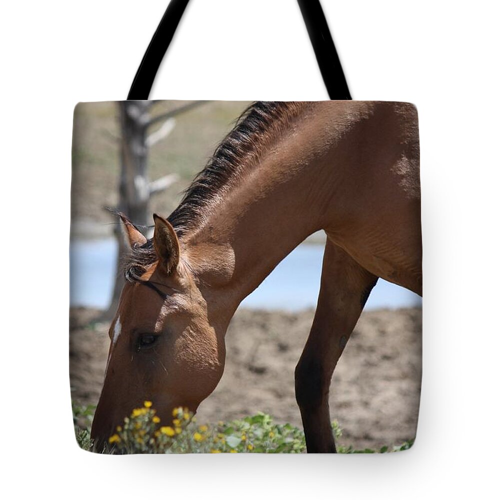 Horses Tote Bag featuring the photograph Amongst the Wildflowers - Monero Mustangs Sanctuary by Veronica Batterson