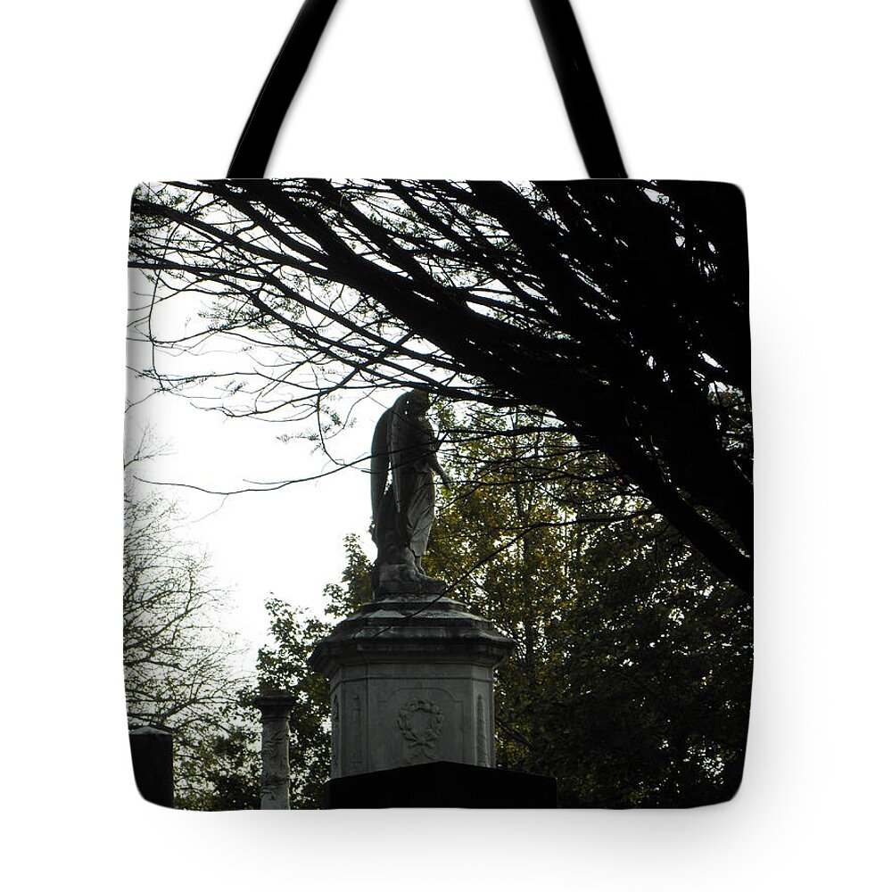 Angel Tote Bag featuring the photograph An angel to watch over me by Kim Galluzzo Wozniak