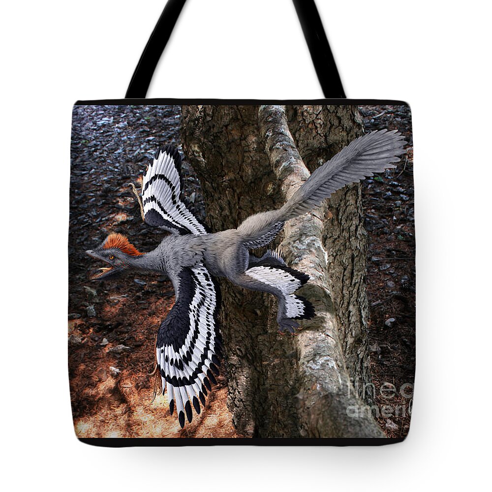 Paleoart Tote Bag featuring the digital art Anchiornis huxleyi by Julius Csotonyi