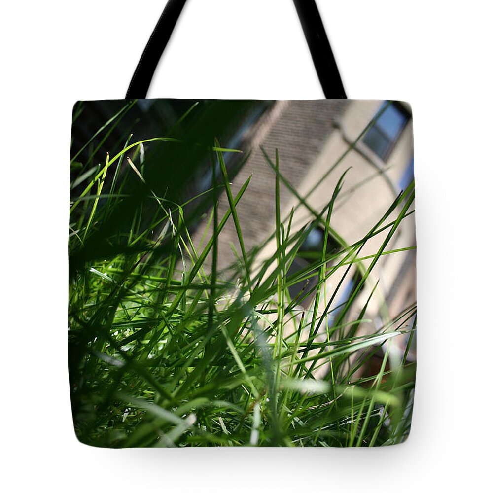 Andersonville Tote Bag featuring the photograph Andersonville by Laura Kinker