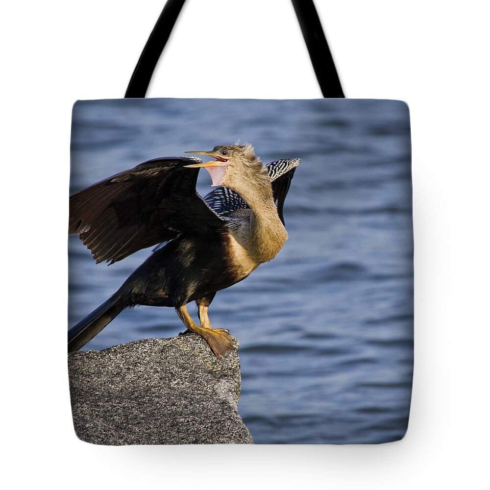 Anhinga Tote Bag featuring the photograph Anhinga Looking Back by Roger Wedegis