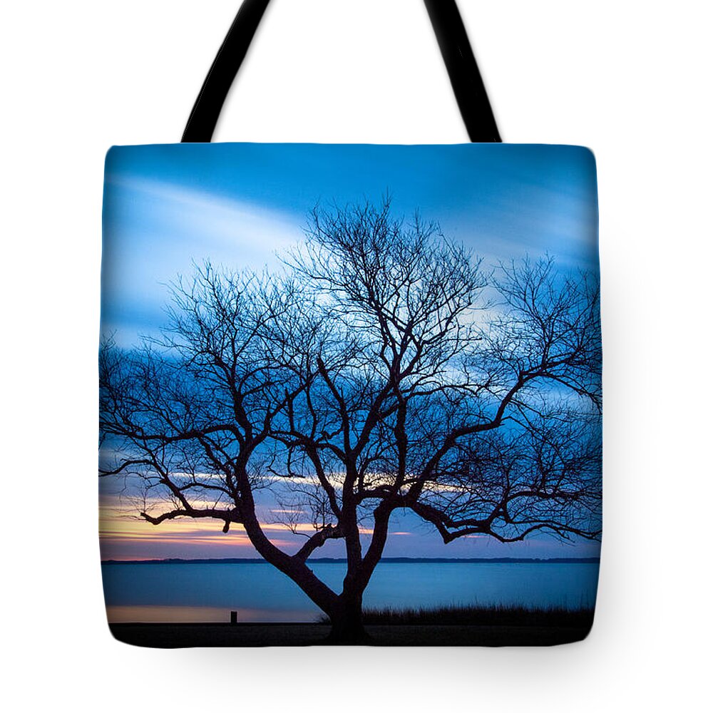 Currituck Tote Bag featuring the photograph Another Favorite Tree by Joye Ardyn Durham