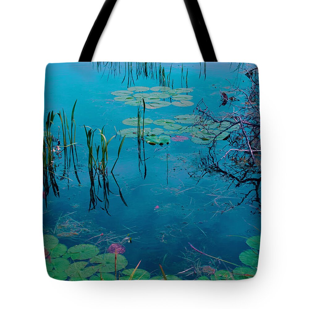 Trans Canada Trail Tote Bag featuring the photograph Another World VII by Jo Smoley