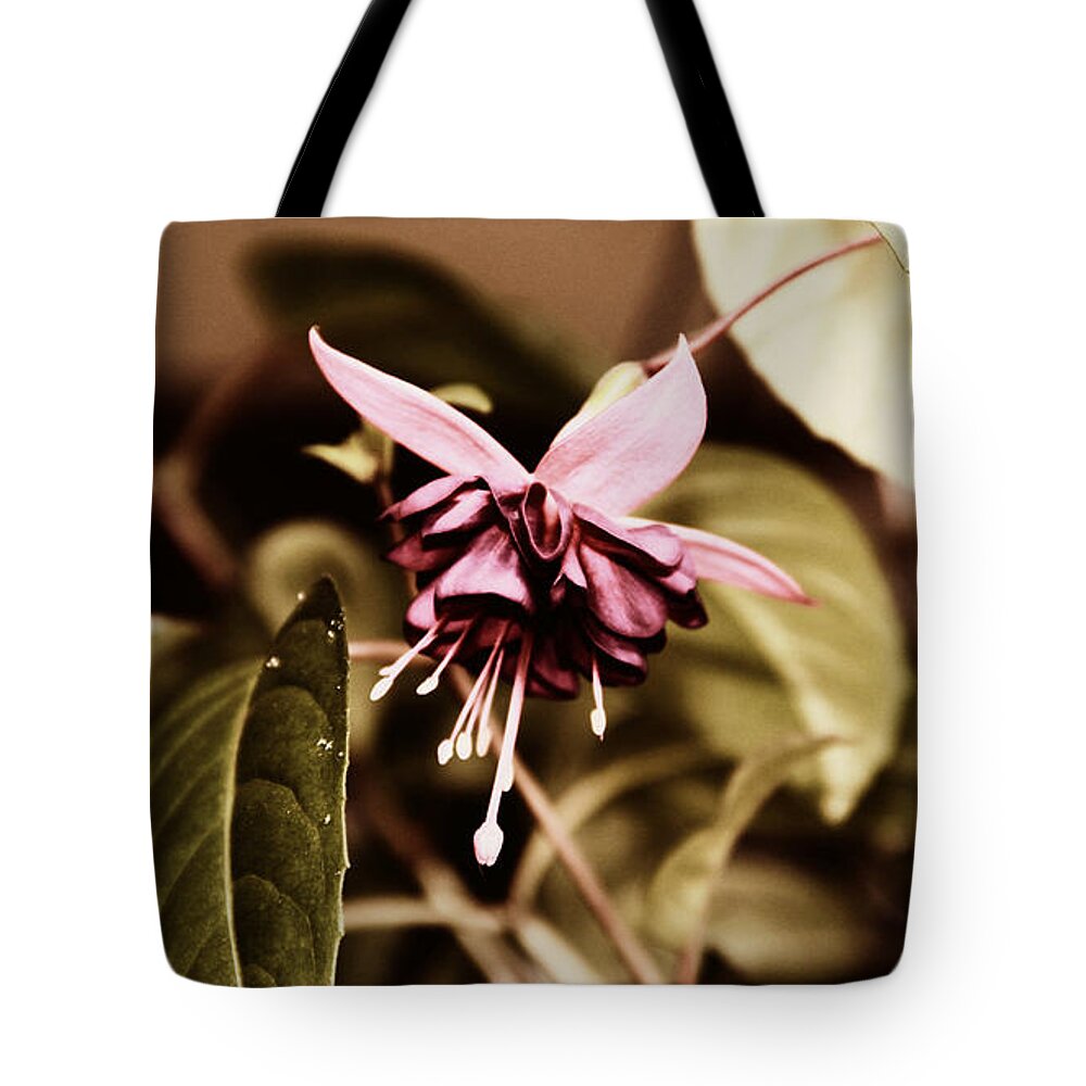 Fuchsia Tote Bag featuring the photograph Antiqued Fuchsia by Jeanette C Landstrom