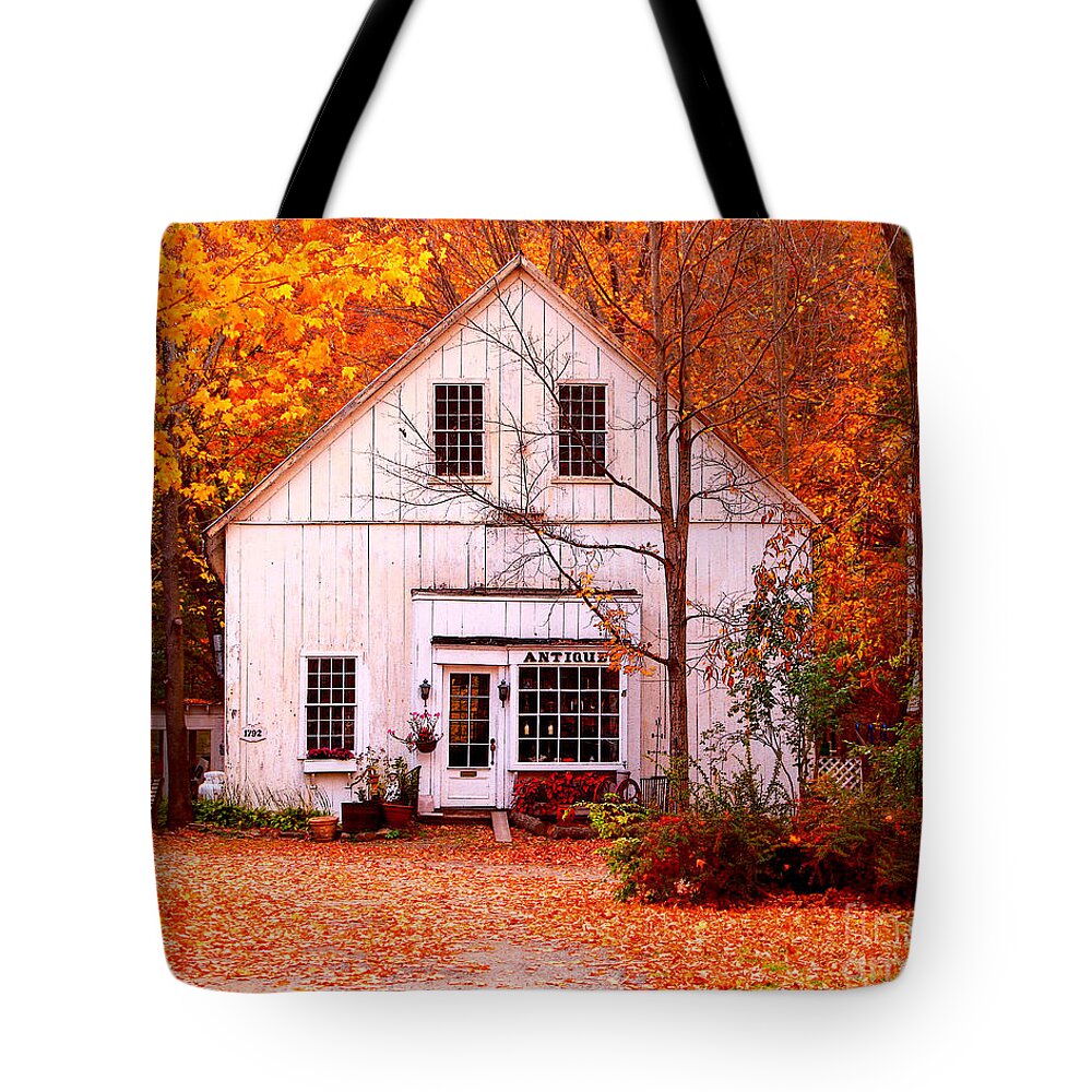 Antiques Store Tote Bag featuring the photograph Antiques Store by Jack Schultz