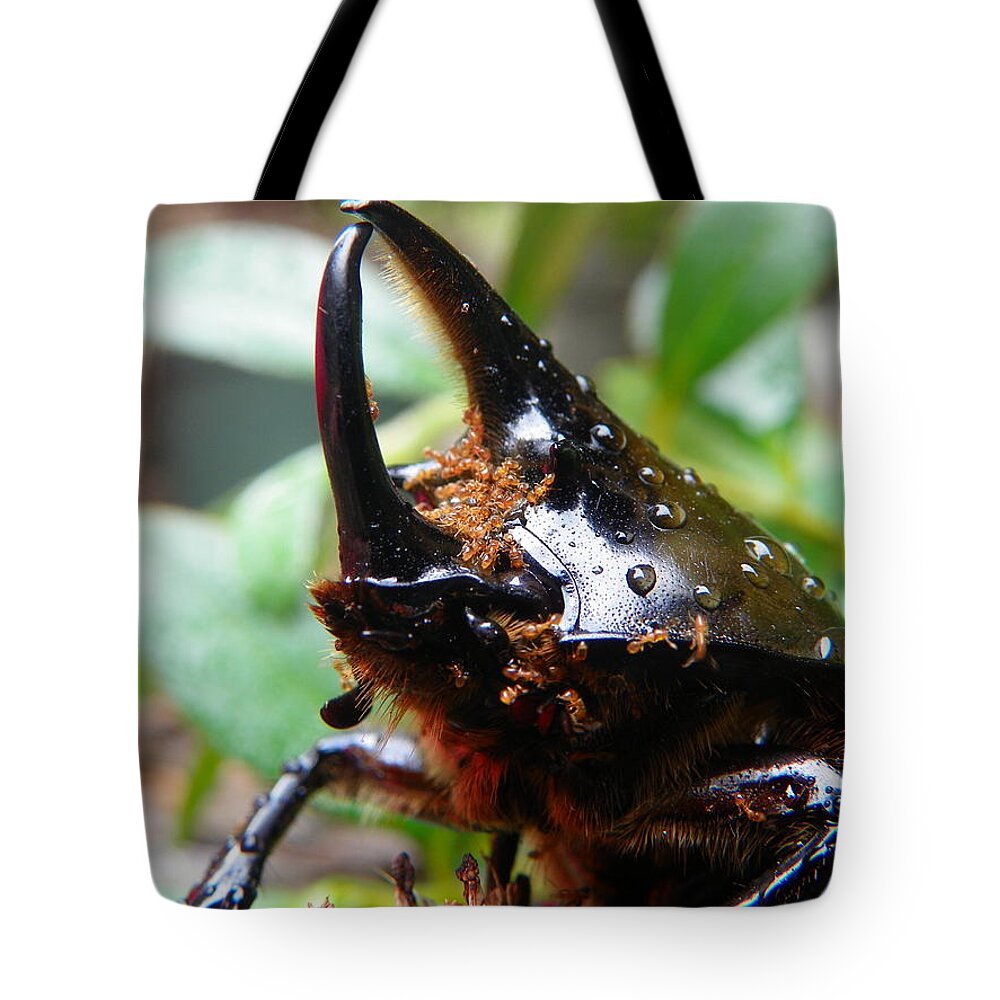 Beetle Tote Bag featuring the photograph Ants Attack Rhino by Chad and Stacey Hall