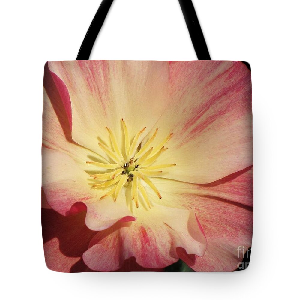 Eschscholzia Californica Tote Bag featuring the photograph Appleblossom California Poppy by Michele Penner