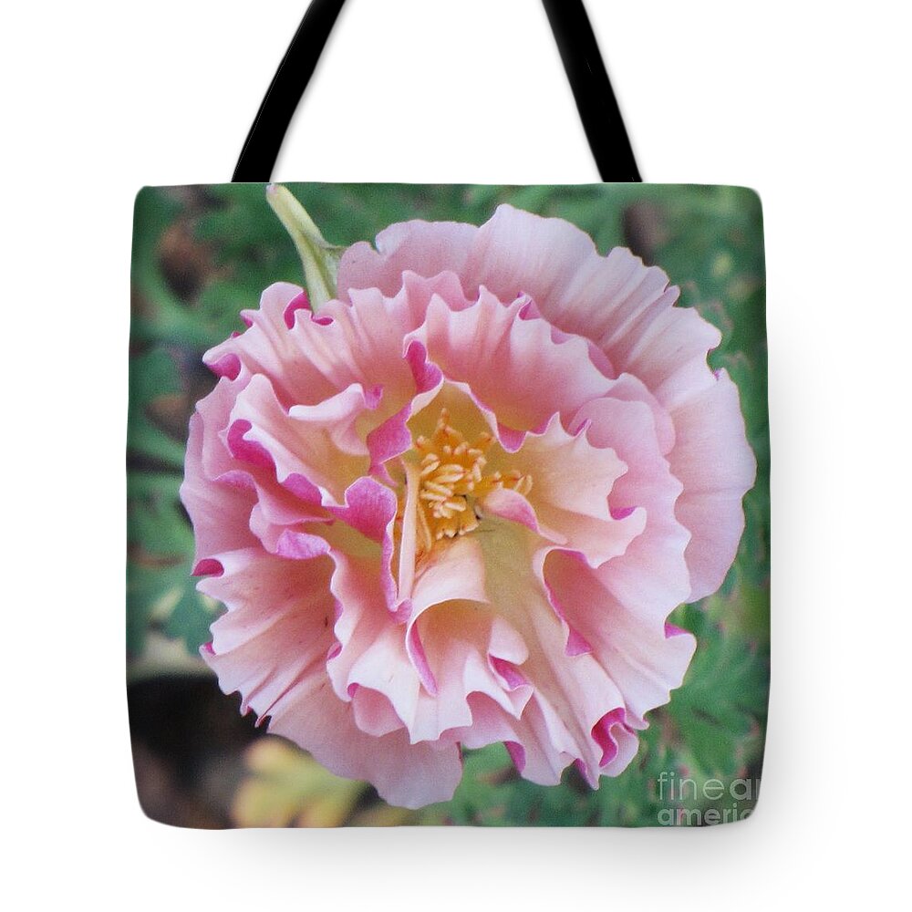 Soft Cream Bucket Bag Pink Flowers