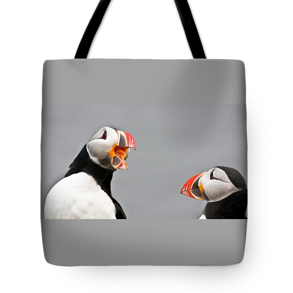 Puffins Tote Bag featuring the photograph Are You Listening to Me by Tom and Pat Cory