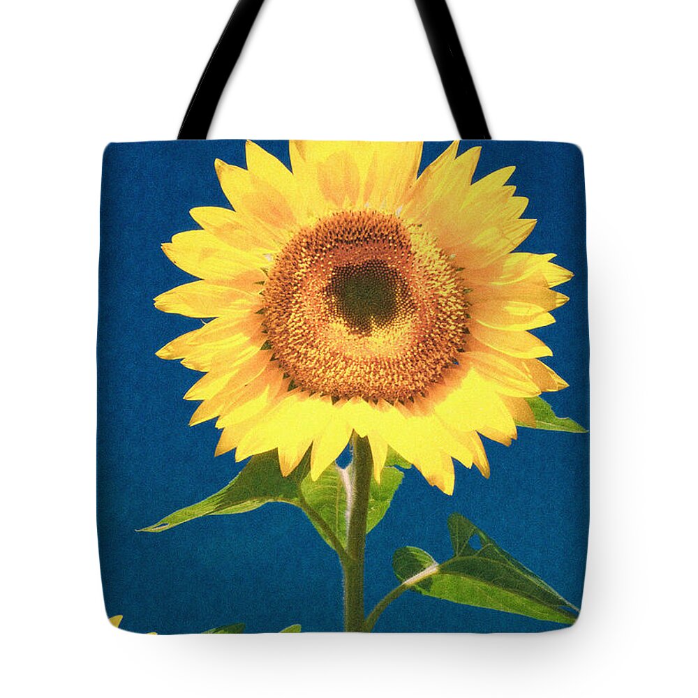 Sunflower Tote Bag featuring the photograph Artsy Sunflower by Nancy De Flon