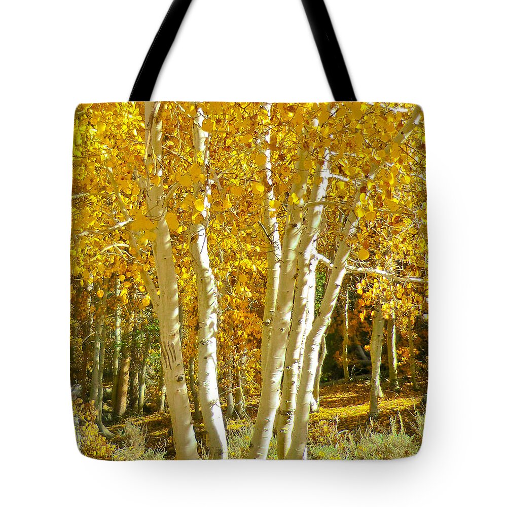 Aspen Tote Bag featuring the photograph Aspen Claws by L J Oakes