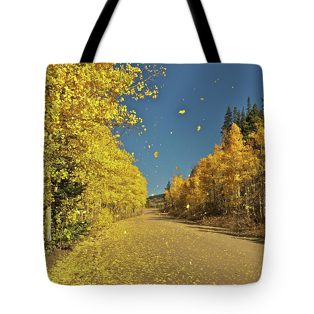 Aspen Tote Bag featuring the photograph Aspen in the Wind by Stephen Johnson