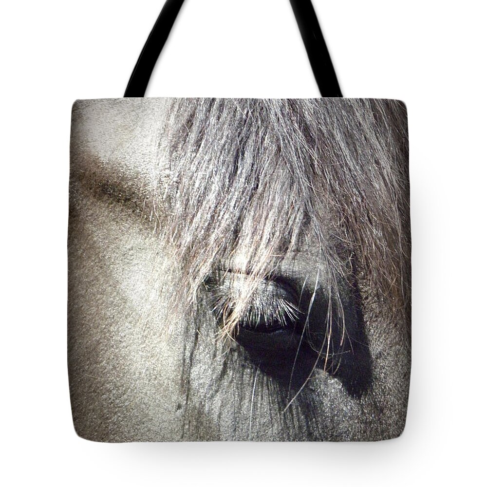 Friesian Horse Tote Bag featuring the photograph At Peace by Kim Galluzzo