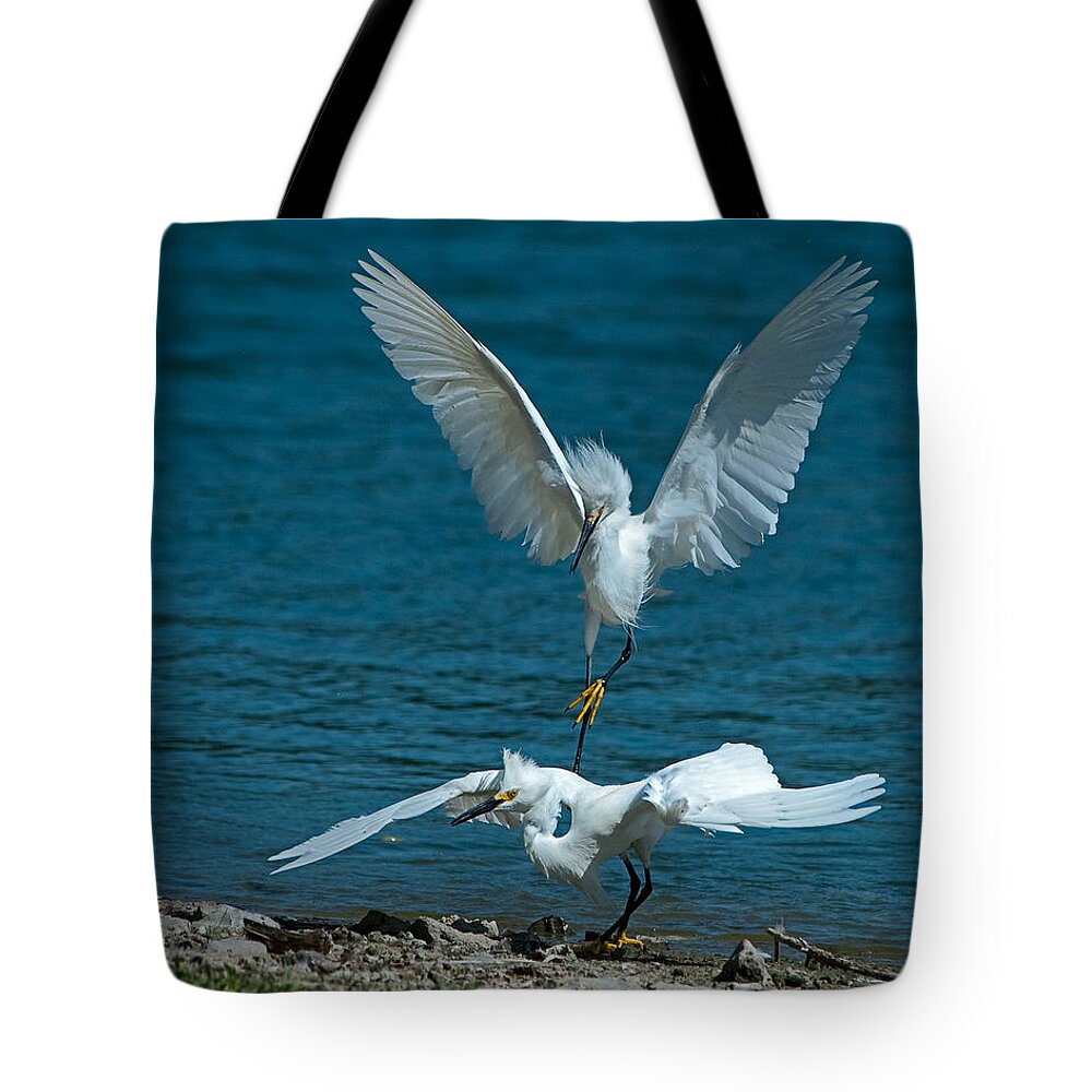 Snowy Egret Tote Bag featuring the photograph Attack from Above by Stephen Johnson
