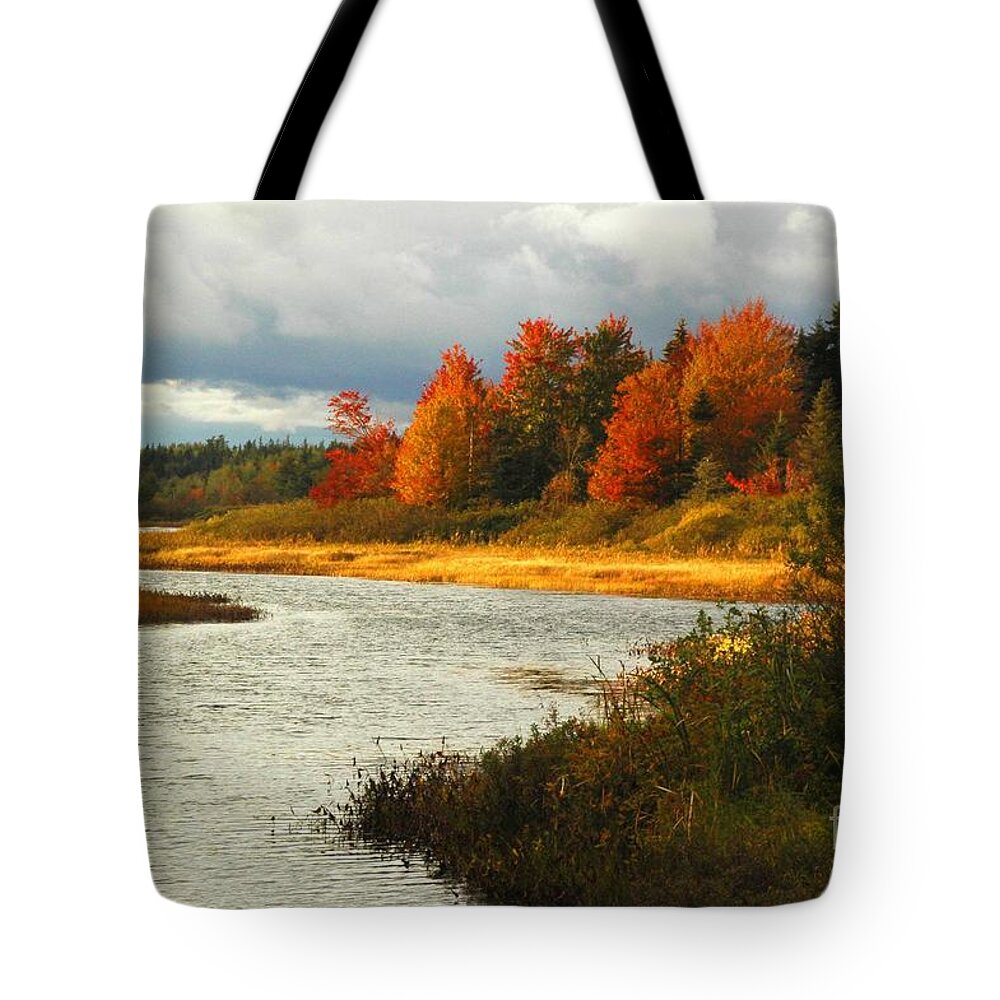 Stream Tote Bag featuring the photograph Autumn Colors by Alana Ranney