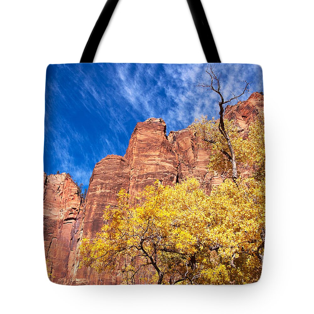 Autumn Tote Bag featuring the photograph Autumn in Zion by Bob and Nancy Kendrick