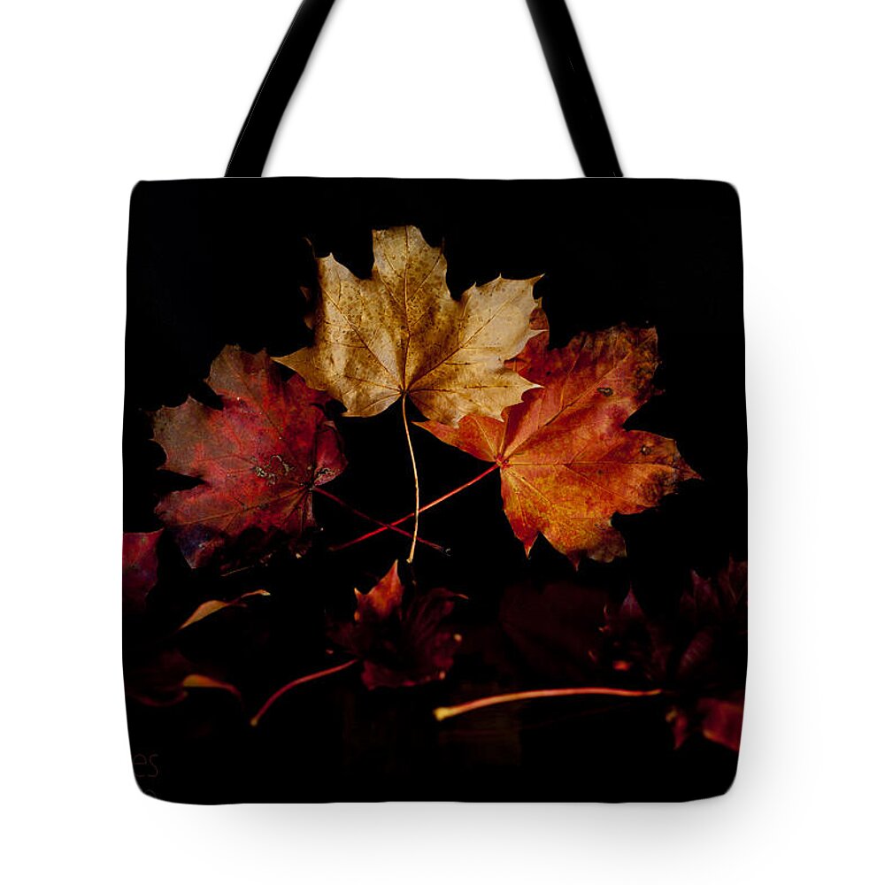 Autumn Tote Bag featuring the photograph Autumn Leaves by B Cash