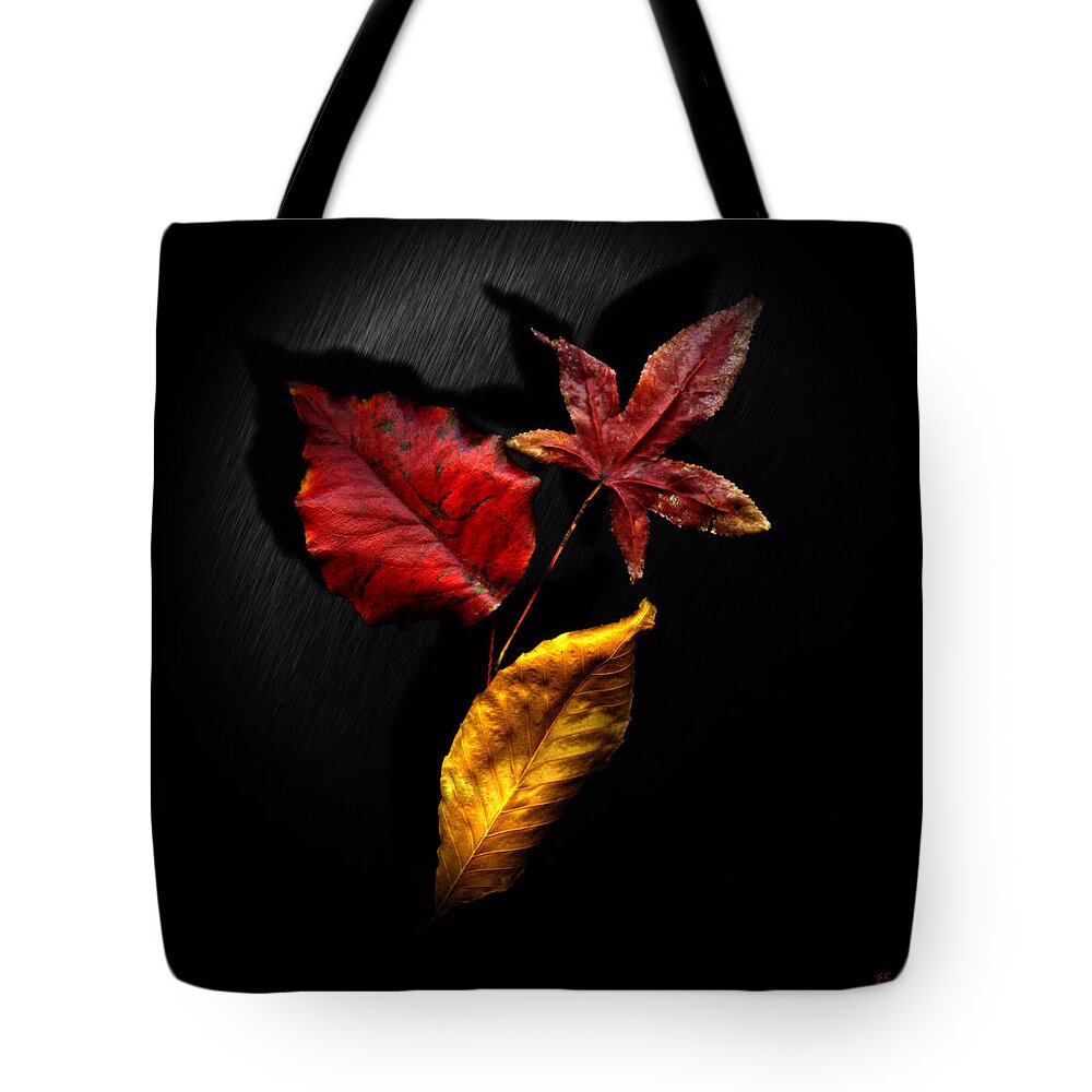 Nature Tote Bag featuring the photograph Autumn Leaves by Gerlinde Keating