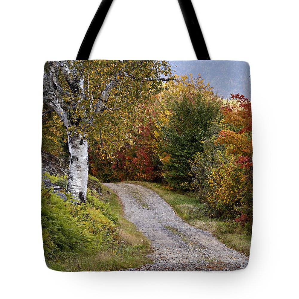 Gravel Tote Bag featuring the photograph Autumn Road - D005840 by Daniel Dempster