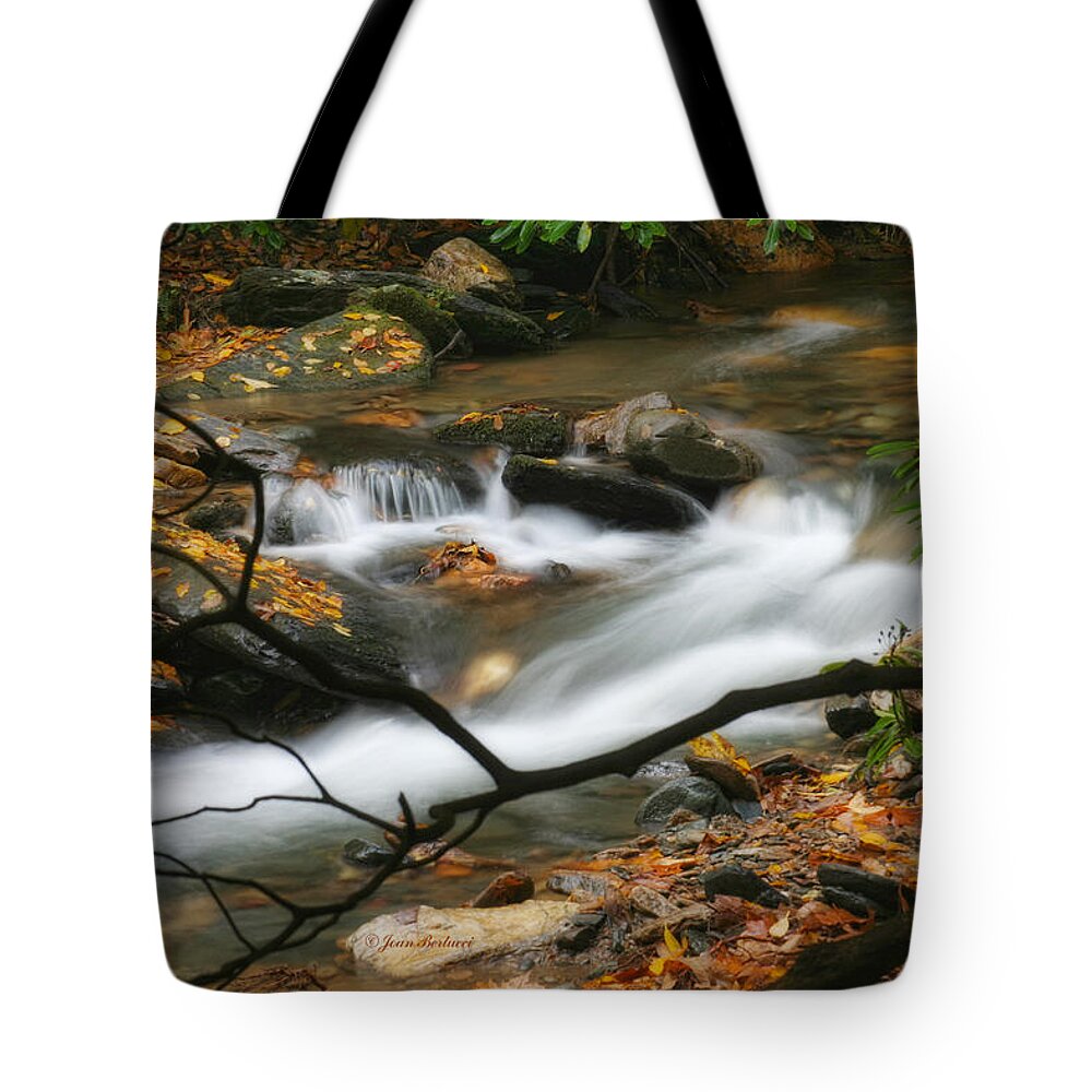 Spring Tote Bag featuring the photograph Autumn Spring by Joan Bertucci