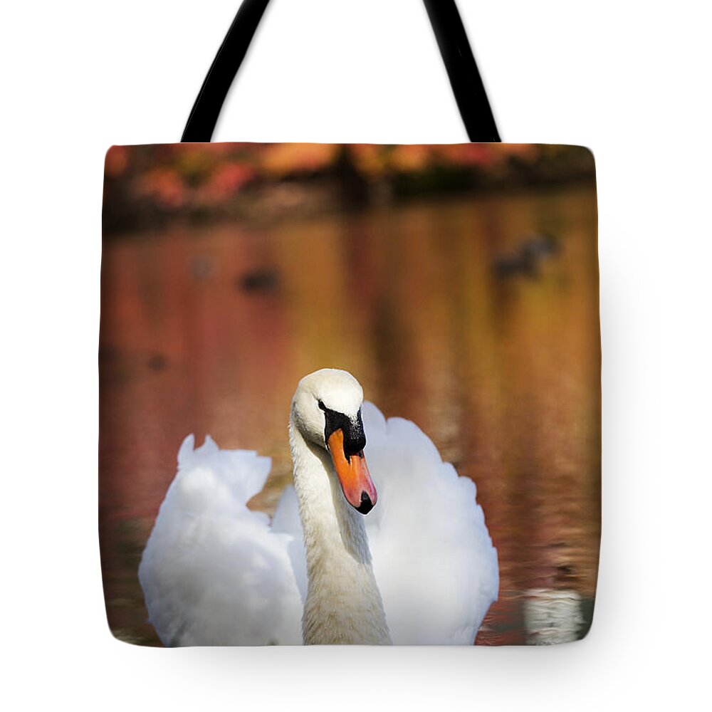 Autumn Tote Bag featuring the photograph Autumn Swan by Leslie Leda