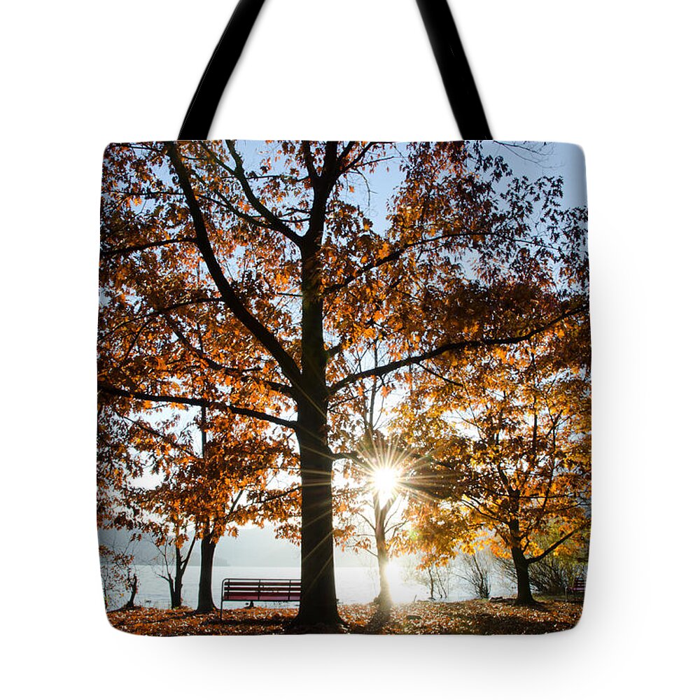 Autumn Tote Bag featuring the photograph Autumn trees by Mats Silvan
