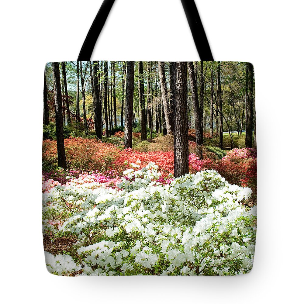 Azaleas Tote Bag featuring the photograph Azaleas on Bloom by Shijun Munns