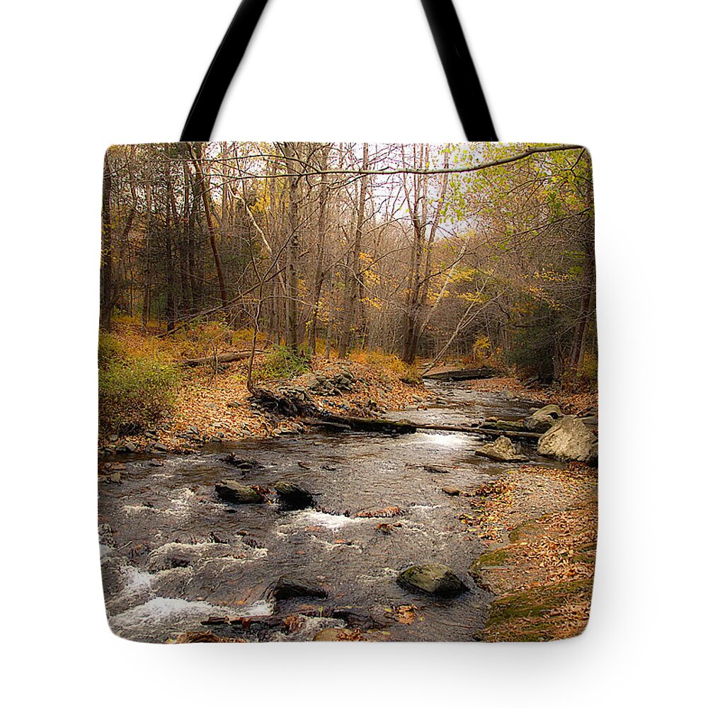 Stream Tote Bag featuring the photograph Babbling Brook in Autumn by Cathy Kovarik