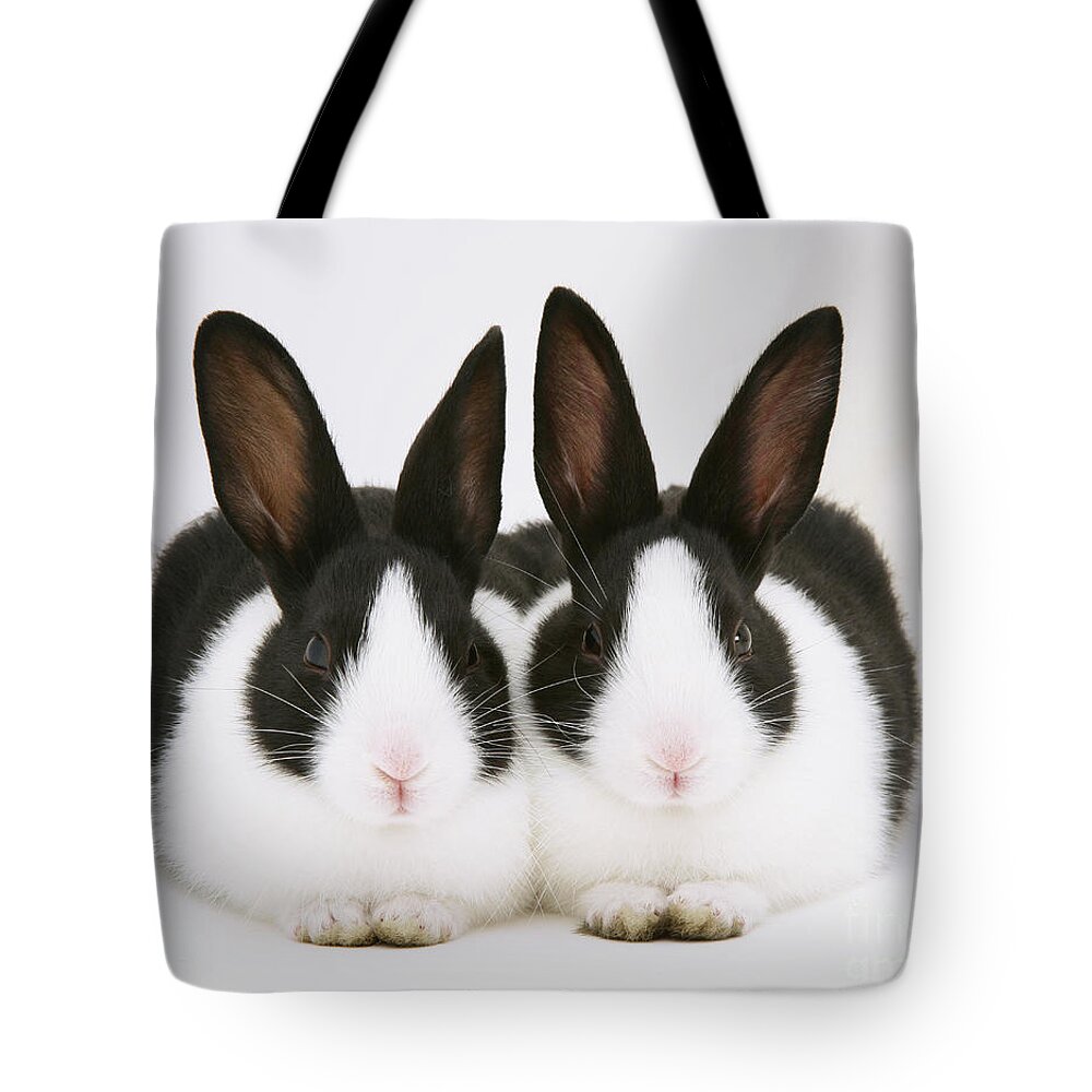 Black-and-white Dutch Rabbit Tote Bag featuring the photograph Baby Black-and-white Dutch Rabbits by Jane Burton