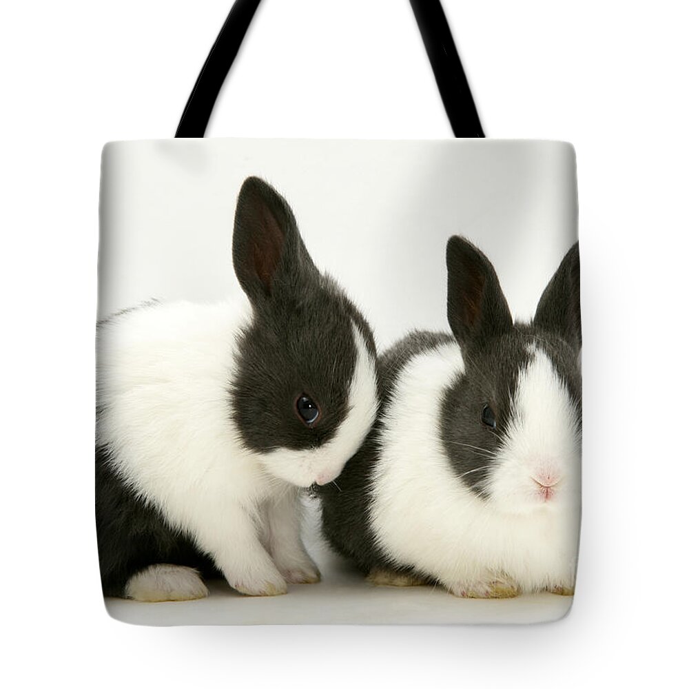 Animal Tote Bag featuring the photograph Baby Blue Dutch Rabbits by Jane Burton