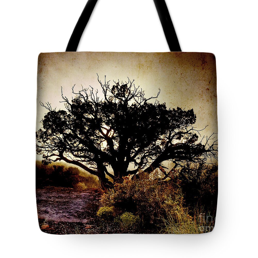 Arizona Tote Bag featuring the photograph Backlight IV by Arne Hansen