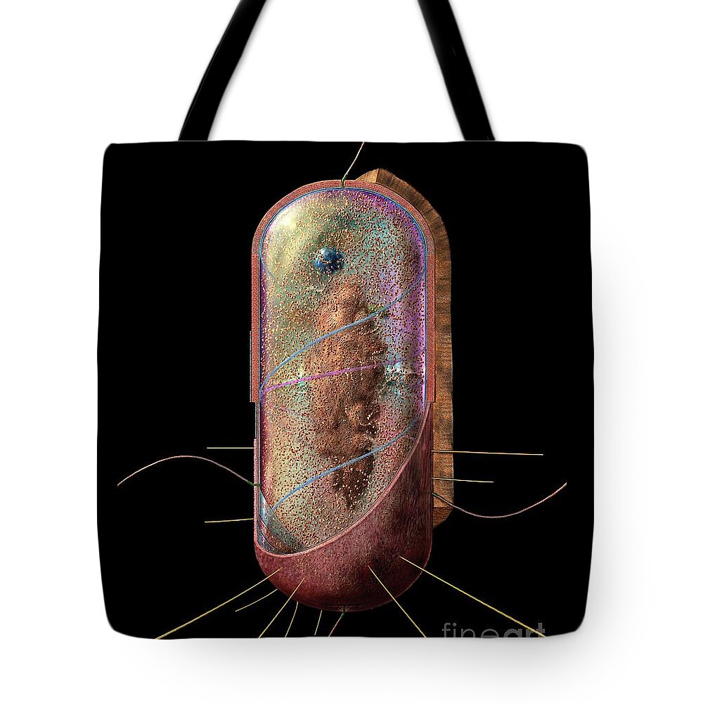 Peptidoglycan Tote Bags