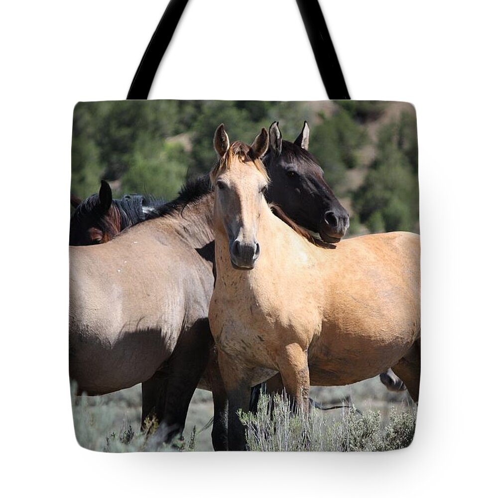 Horses Tote Bag featuring the photograph Band of Friends - Monero Mustangs Sanctuary by Veronica Batterson