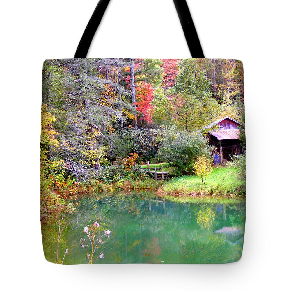 Barns Tote Bag featuring the photograph Barn and Pond in the Fall by Duane McCullough