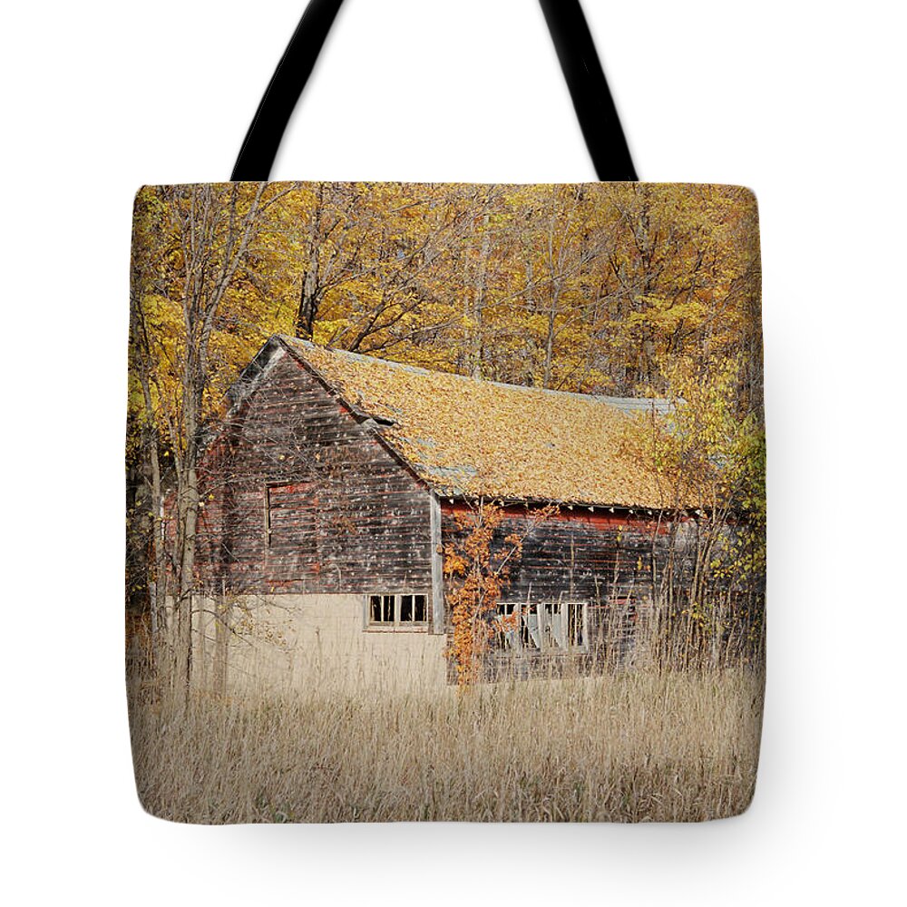 Barn Tote Bag featuring the photograph Barn With Autumn Leaves by Ron Weathers