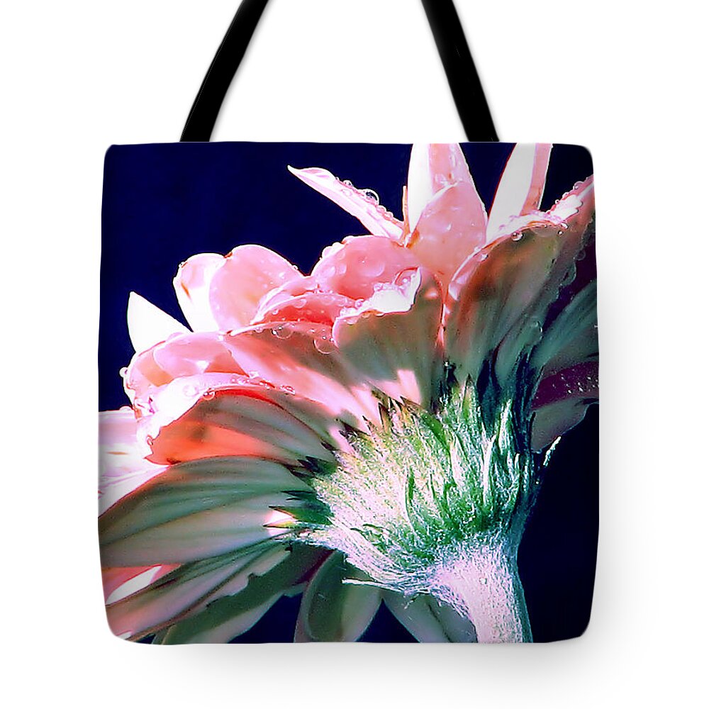 Gerbera Daisy Tote Bag featuring the photograph Bathing In Moonlight by Rory Siegel