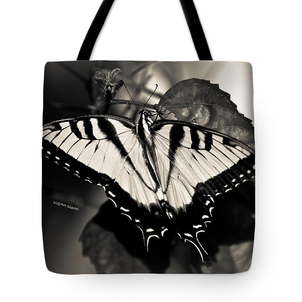 Butterfly Tote Bag featuring the photograph Beauty Without Color by DigiArt Diaries by Vicky B Fuller