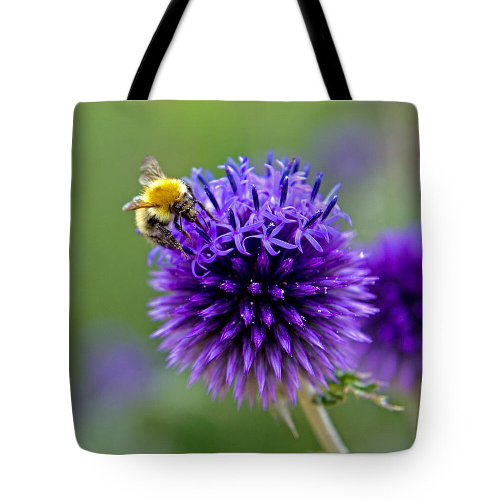 Bee Tote Bag featuring the photograph Bee on garden flower by David Freuthal