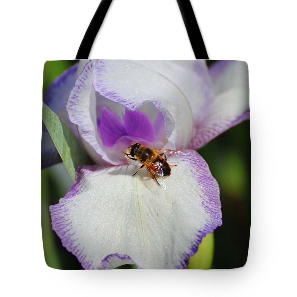 Beautiful Iris Tote Bag featuring the photograph Bee on the Iris by Jai Johnson